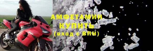 хмурый Белокуриха