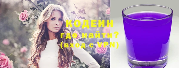 хмурый Белокуриха