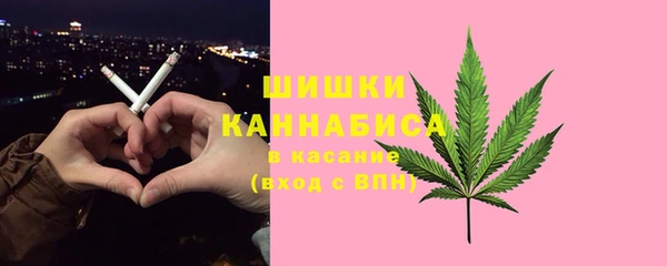 хмурый Белокуриха