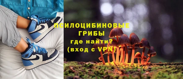 хмурый Белокуриха