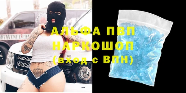 хмурый Белокуриха