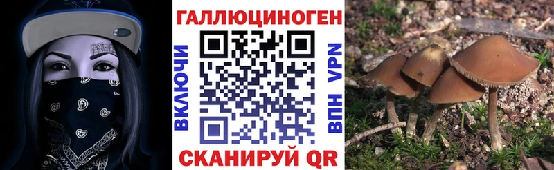 Псилоцибиновые грибы мухоморы  Ярцево 